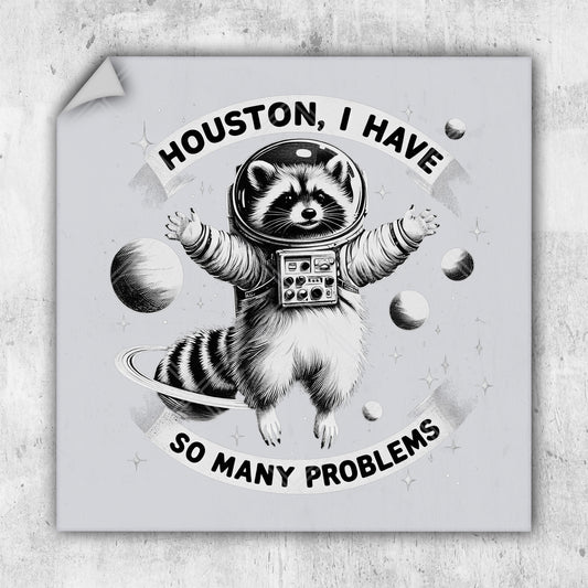 a raccoon in a space suit with the words houston i have so many