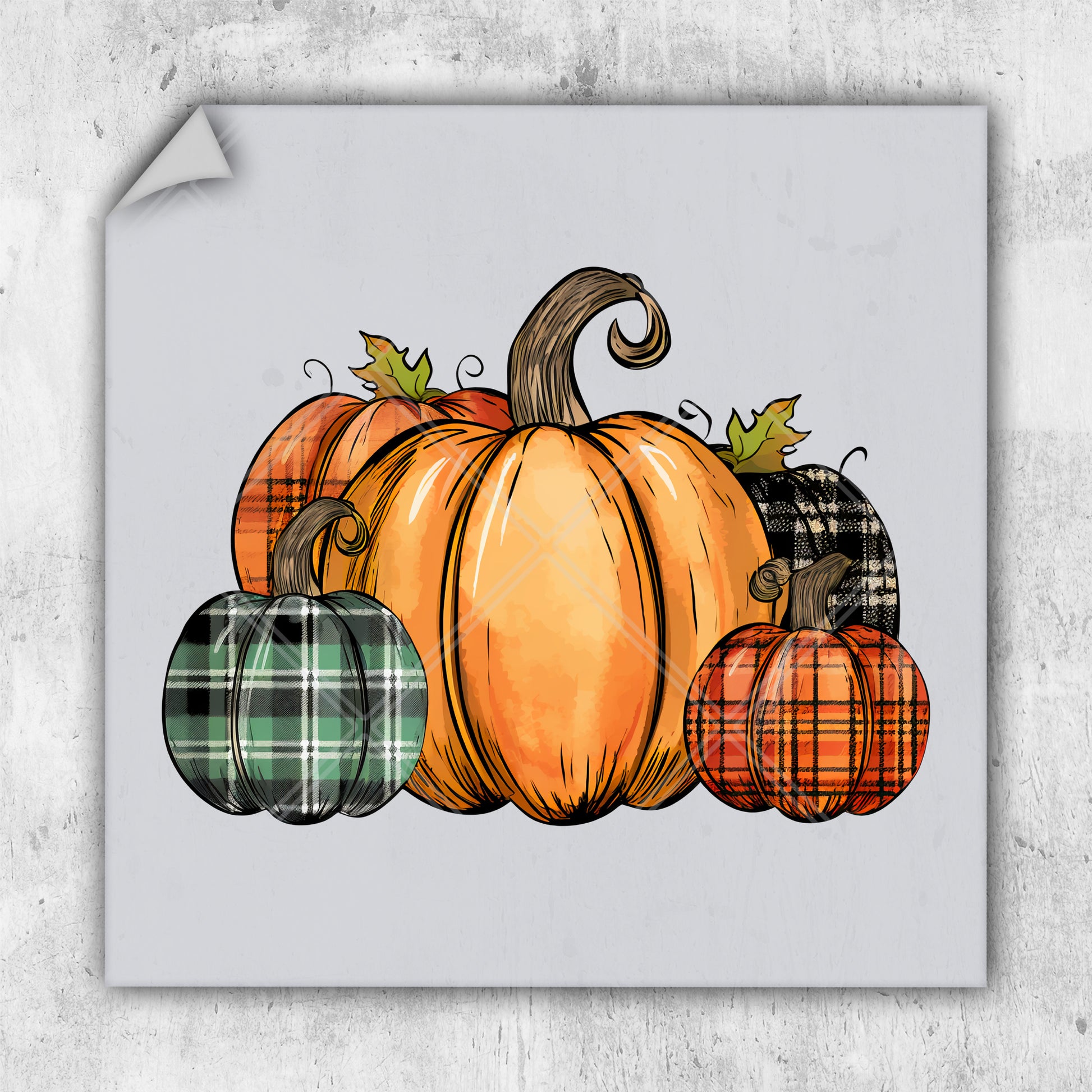 a drawing of a pumpkin with plaid pumpkins around it