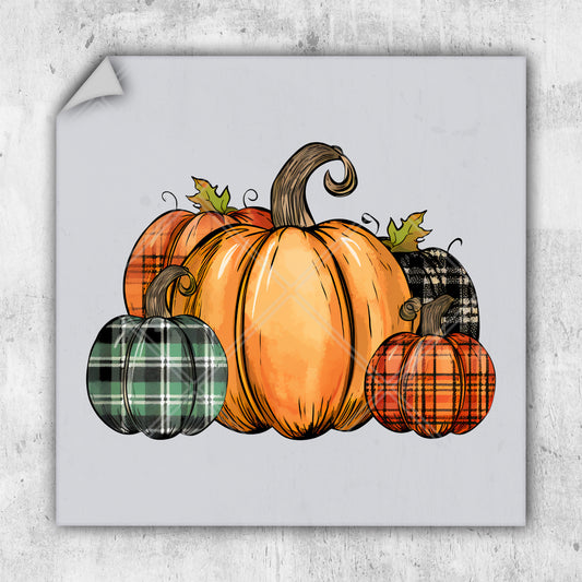 a drawing of a pumpkin with plaid pumpkins around it