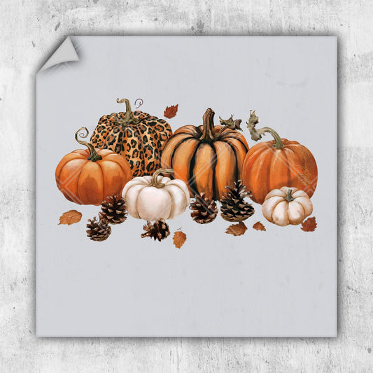 a picture of a bunch of pumpkins and pine cones