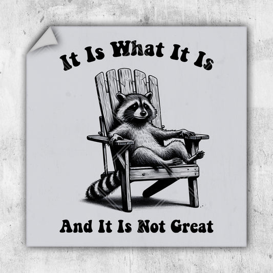 a raccoon sitting in a wooden chair with the words it is what it