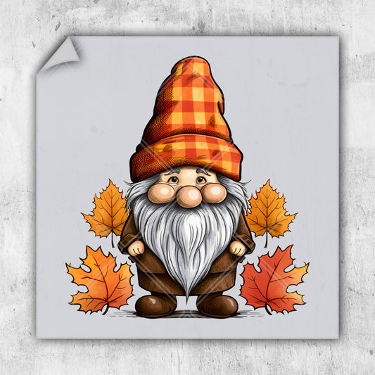 a picture of a gnome with a red hat and plaid cap