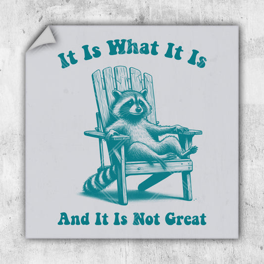 a raccoon sitting in a chair with the words it is what it is