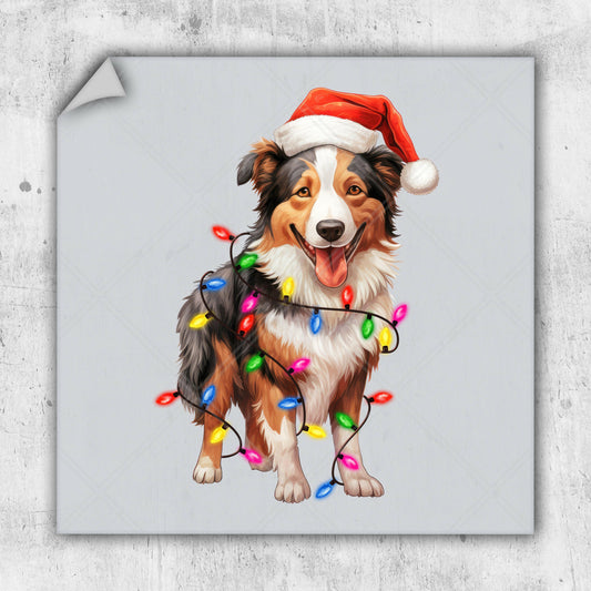 a picture of a dog wearing a santa hat