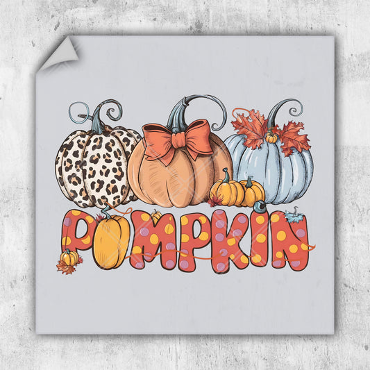 a picture of pumpkins with the word pumpkin