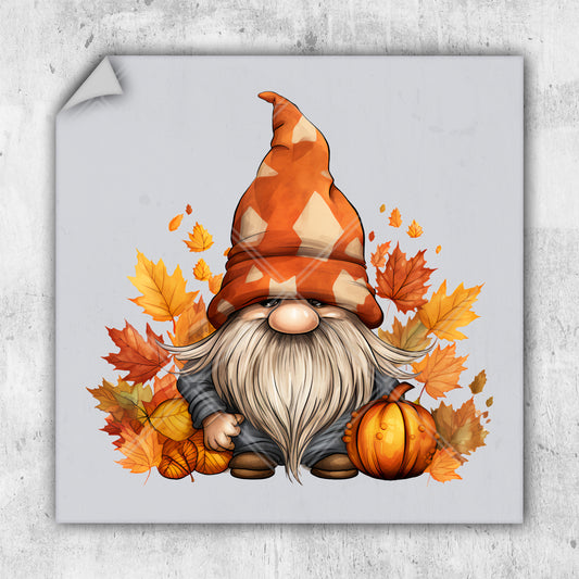 a picture of a gnome with pumpkins and leaves