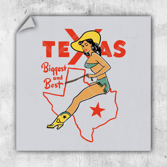 a picture of a woman in a cowboy hat on a sticker