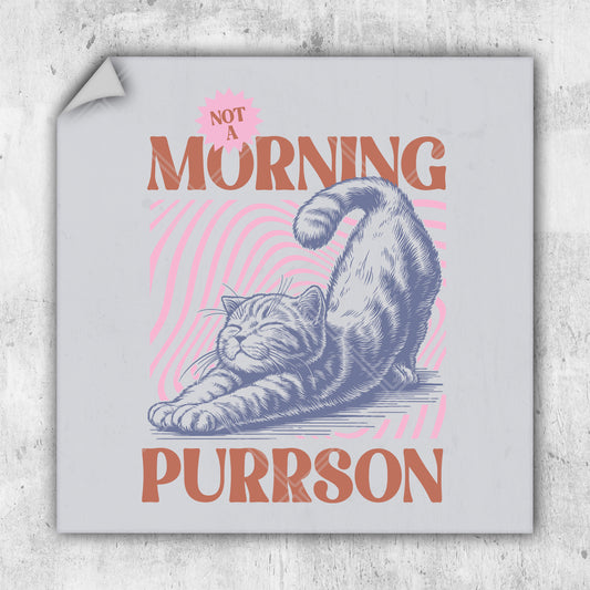 a picture of a cat with the words not a morning person on it