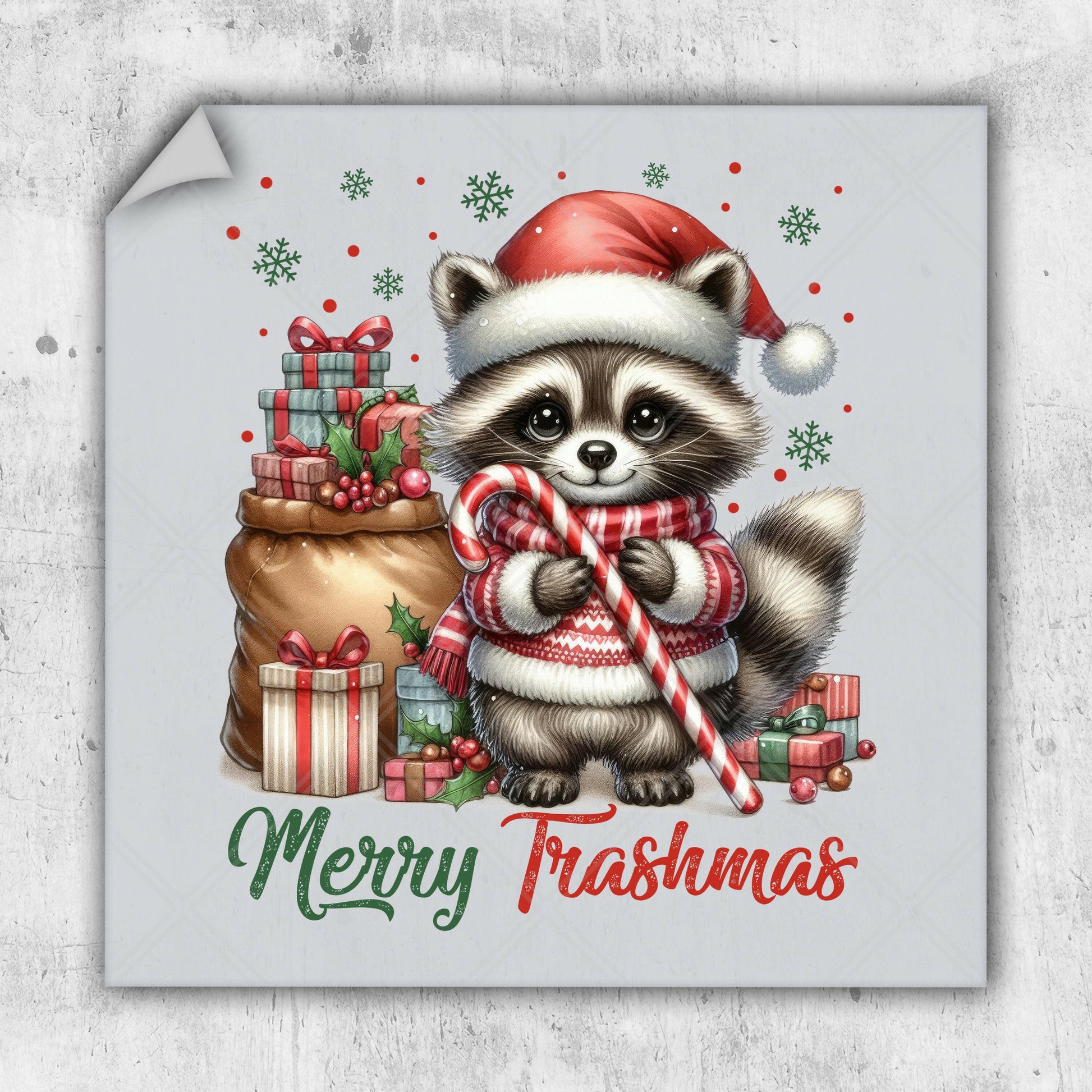 a christmas card with a raccoon holding a candy cane