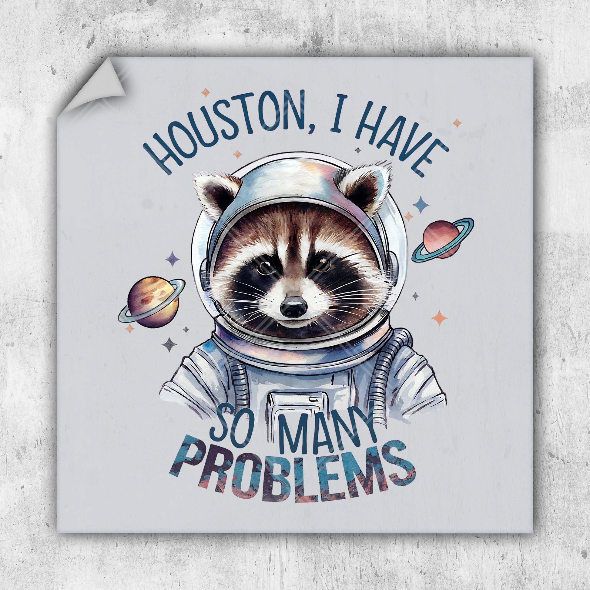 a raccoon wearing a space suit with the words houston i have so many