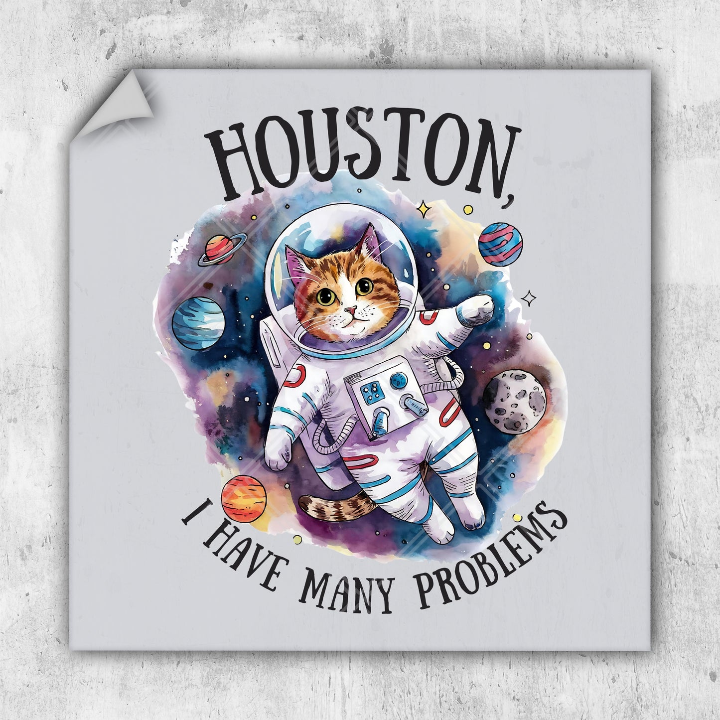 a picture of a cat in a space suit that says houston i have many problems