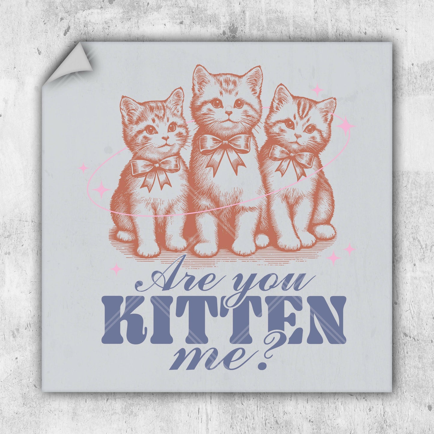 a picture of three kittens with the words are you kitten me?