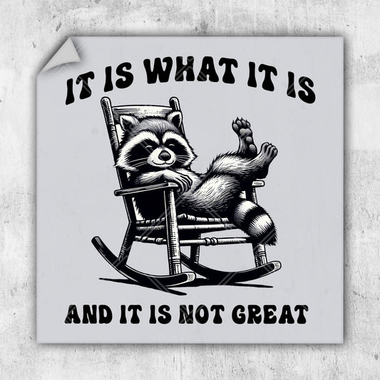 a raccoon is sitting in a rocking chair