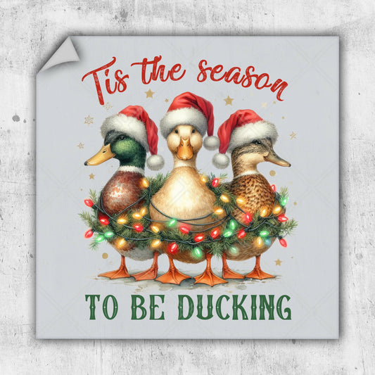 a christmas card with three ducks wearing santa hats