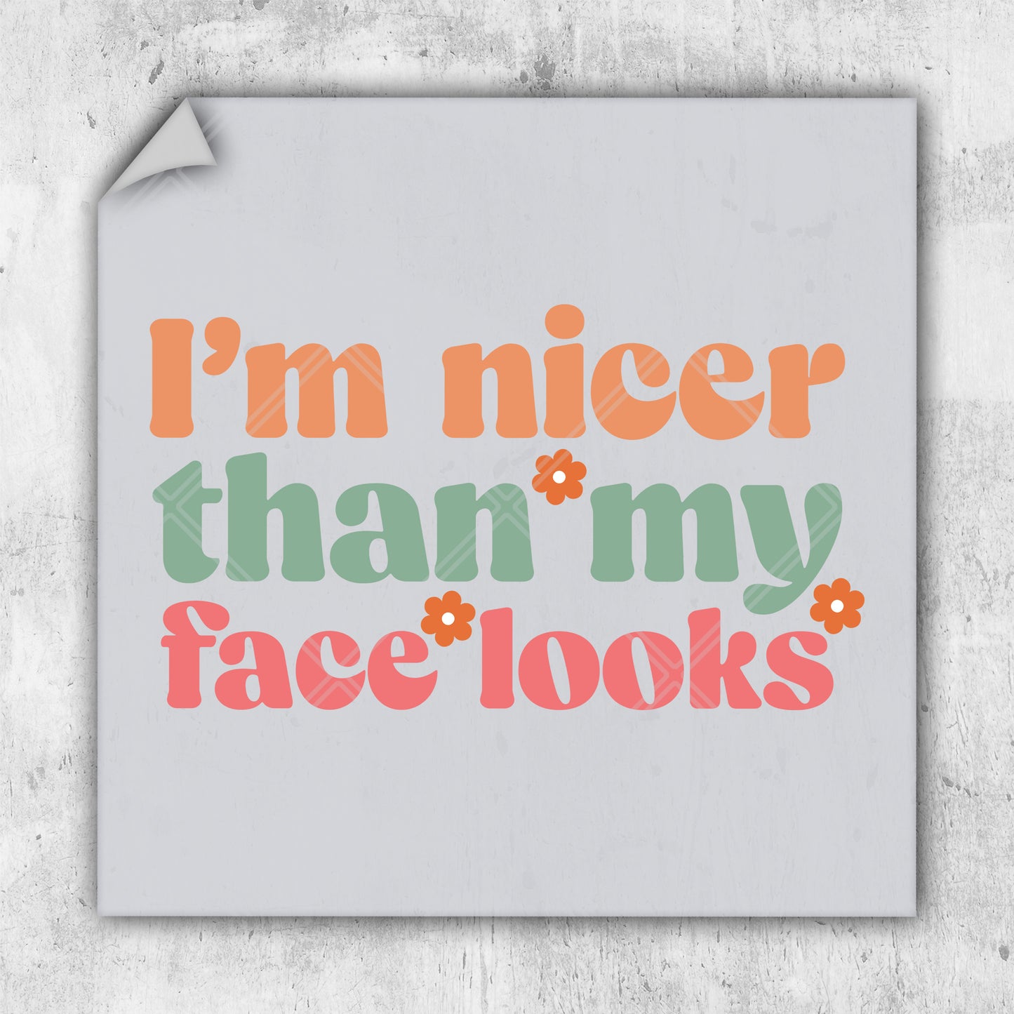 i'm nicer than my facebooks sticker