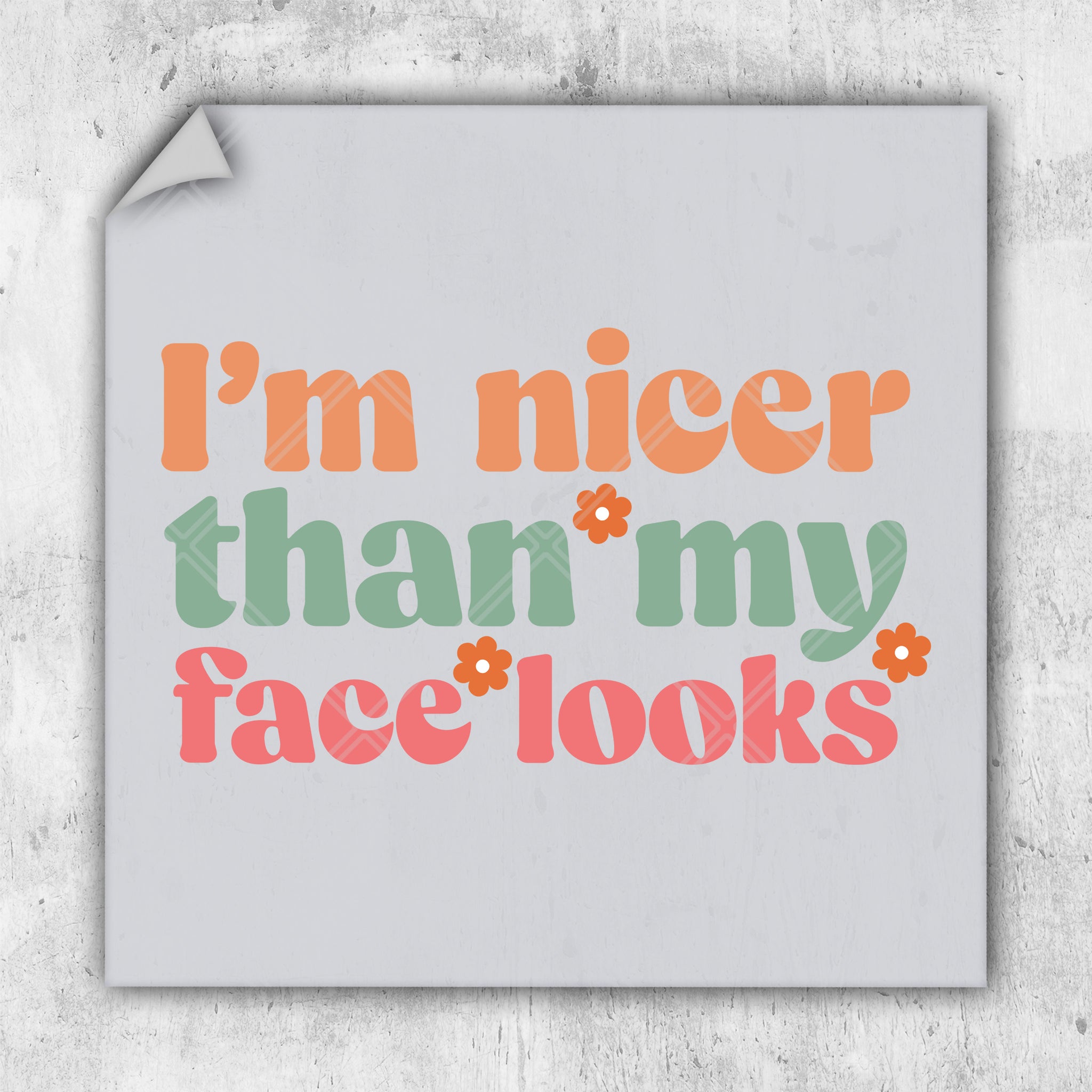 i'm nicer than my facebooks sticker