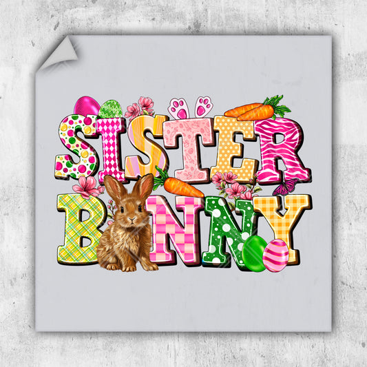 a picture of a bunny with the words sister bunny on it