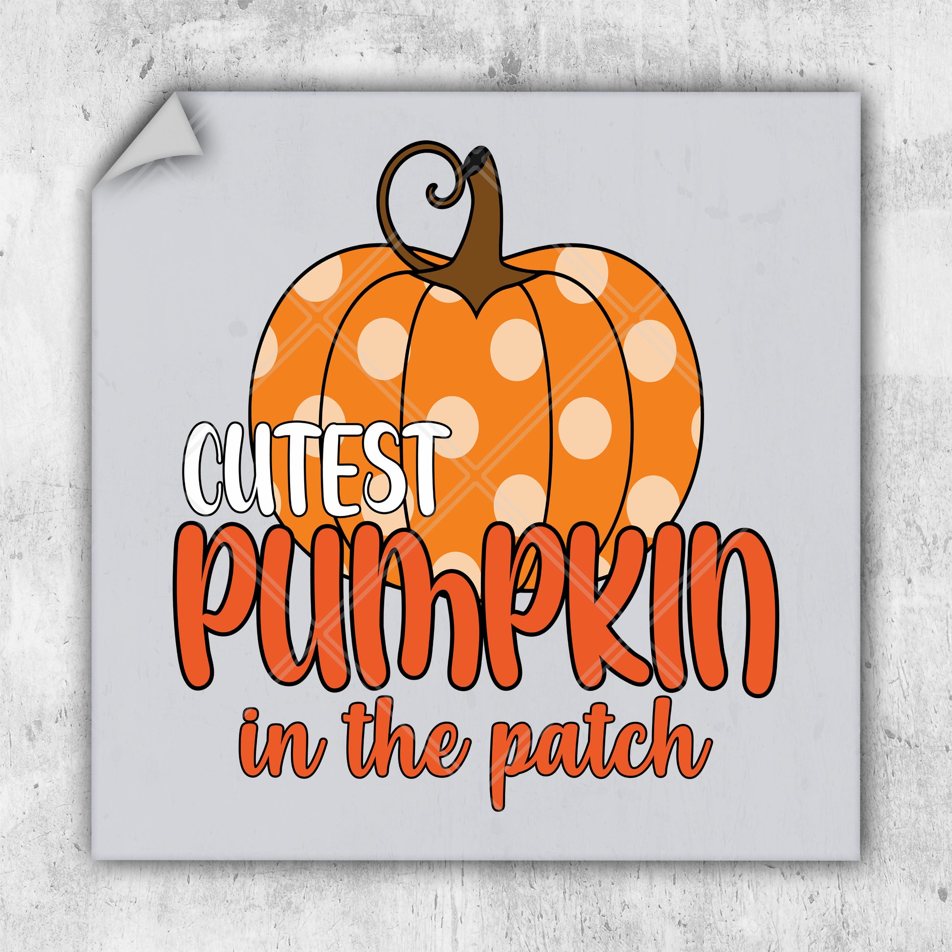 a sticker that says cutest pumpkin in the patch