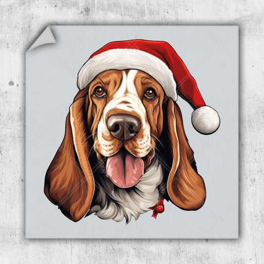 a brown and white dog wearing a santa hat